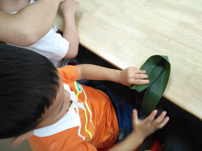 盛情端午 欢乐“棕”动员~(图3)