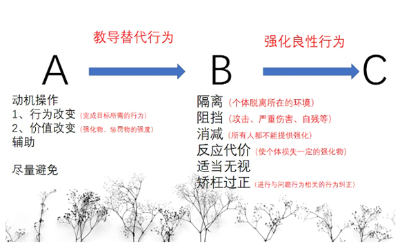 解读行为 . 共促成长【家长培训】(图8)