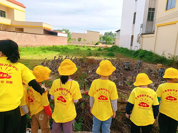 幼“趣”秋收-蔬菜采摘活动(图6)