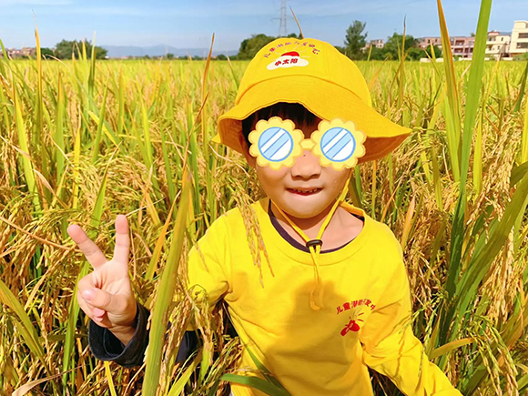 幼“趣”秋收-蔬菜采摘活动(图7)