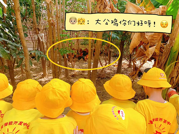 幼“趣”秋收-蔬菜采摘活动(图4)