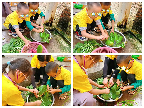 幼“趣”秋收-蔬菜采摘活动(图18)