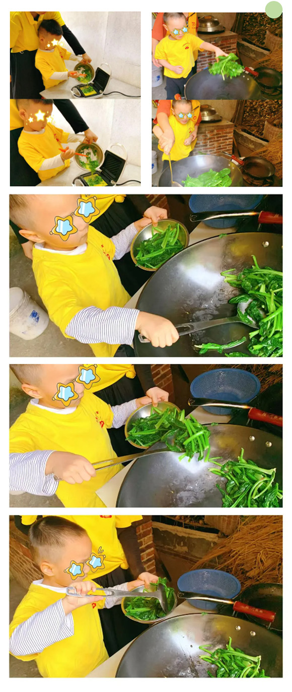 幼“趣”秋收-蔬菜采摘活动(图19)