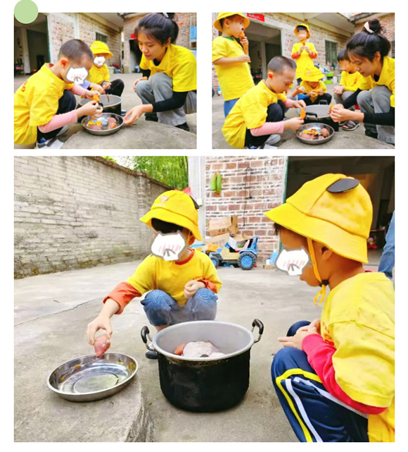 幼“趣”秋收-蔬菜采摘活动(图21)