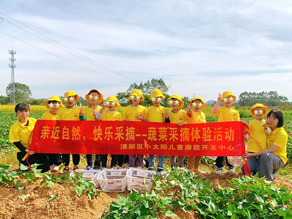 幼“趣”秋收-蔬菜采摘活动(图23)