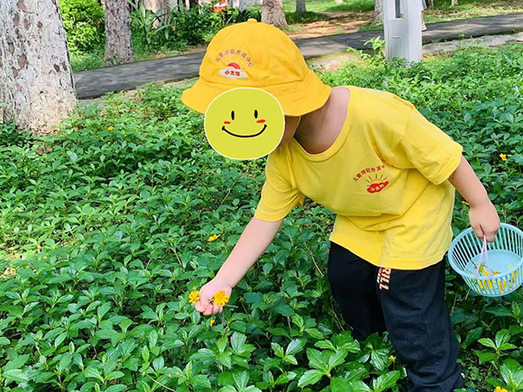 【自然课堂】— 夏日水宝宝诞生记(图5) 【自然课堂】— 夏日水宝宝诞生记(图5)