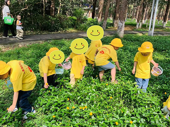 【自然课堂】— 夏日水宝宝诞生记(图7) 【自然课堂】— 夏日水宝宝诞生记(图7)