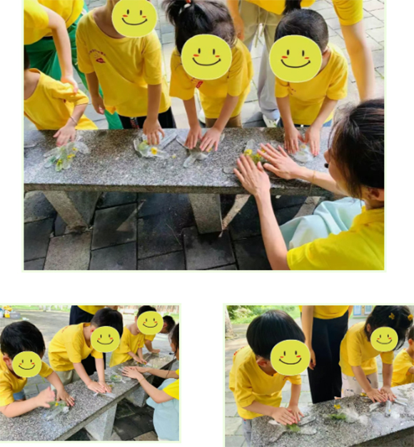 【自然课堂】— 夏日水宝宝诞生记(图12) 【自然课堂】— 夏日水宝宝诞生记(图12)